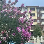 райска градина, Sveti Vlas, Silvia Appartamento